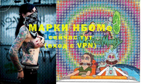 хмурый Абаза