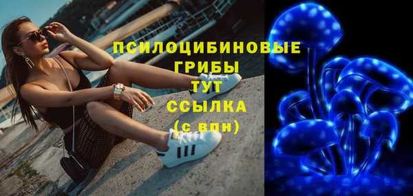тгк Алзамай