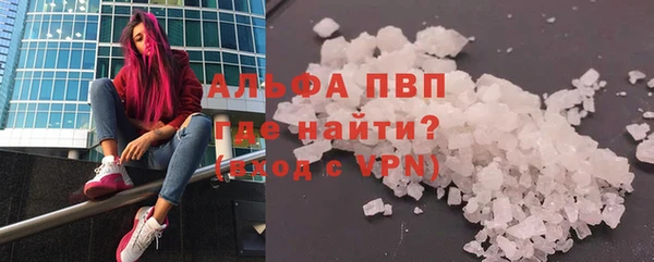 хмурый Абаза