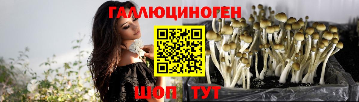 Псилоцибиновые грибы мицелий Алушта